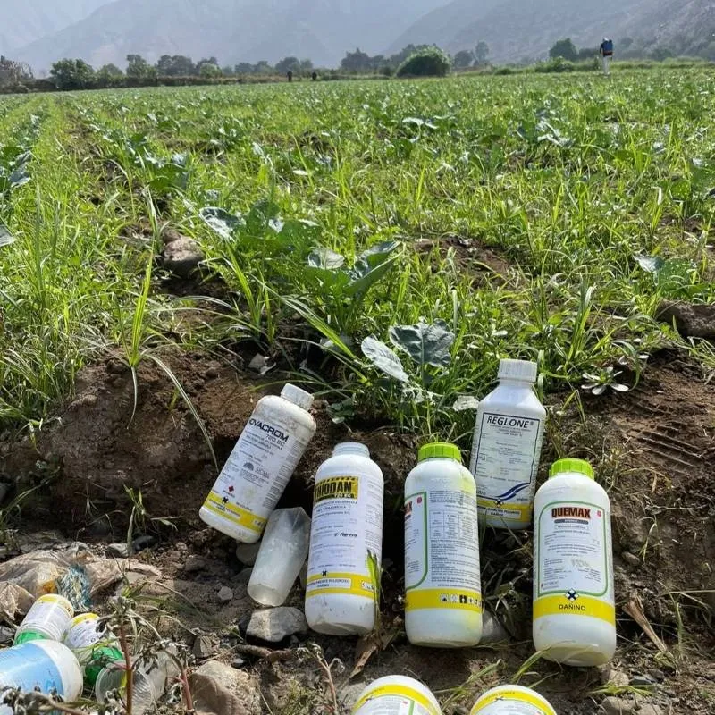 Üzüm Yaprağı, Armut, İncir ve Fıstıkta Risk: Pestisit ve Aflatoksin Alarmı